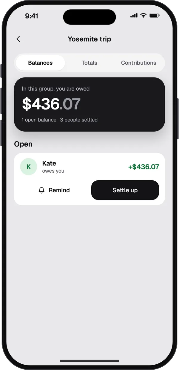 A group's balances in STLD: Kate owes you $436.07